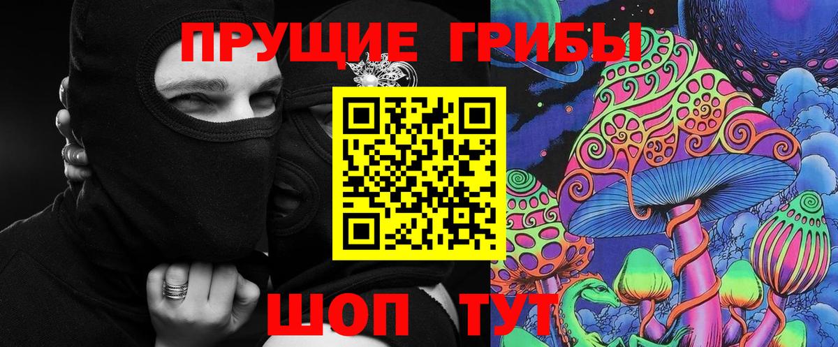 дарнет шоп  Вход с VPN  Артём  Галлюциногенные грибы Psilocybe 